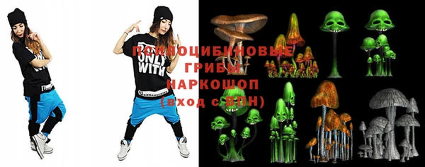 МДПВ Алзамай