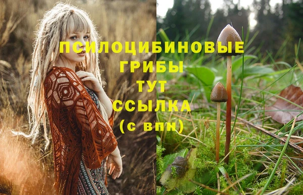 спайс Алексеевка
