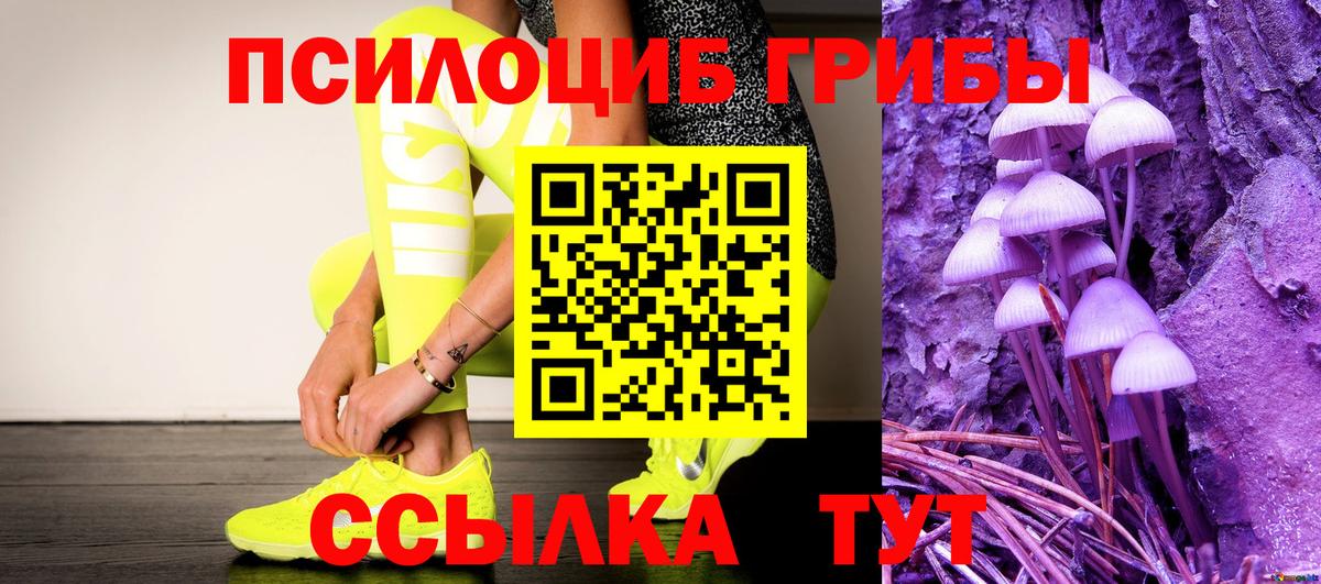 купить   Вход с VPN  Лянтор  Галлюциногенные грибы Cubensis 